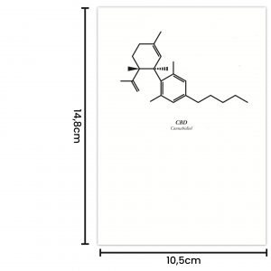 Postkarte "chemisches Symbol CBD" - A6 mit Maßen